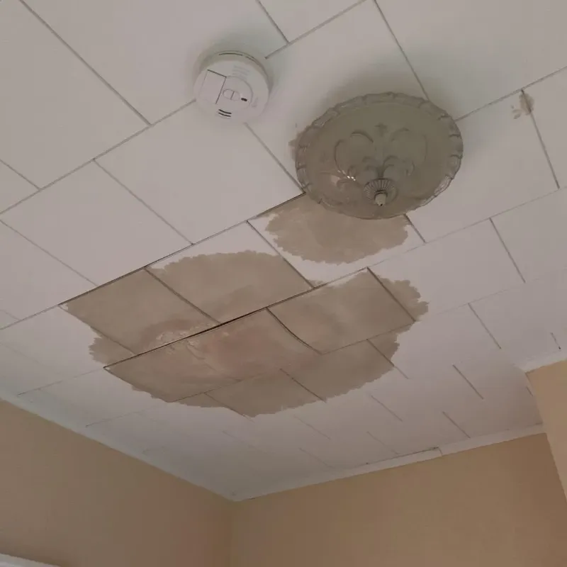 Ceiling Water Damage Repair in Kingsford, MI