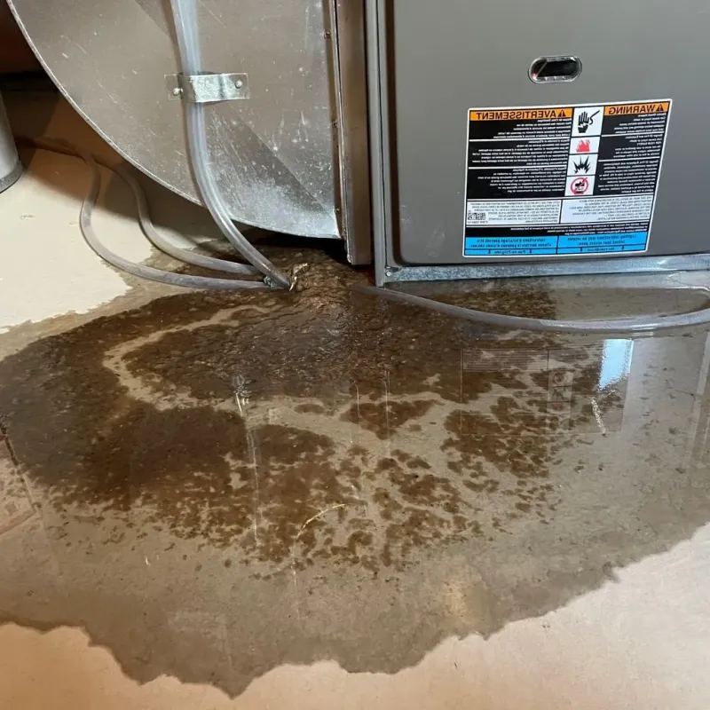 Pipe Burst and Leak Restoration in Kingsford, MI